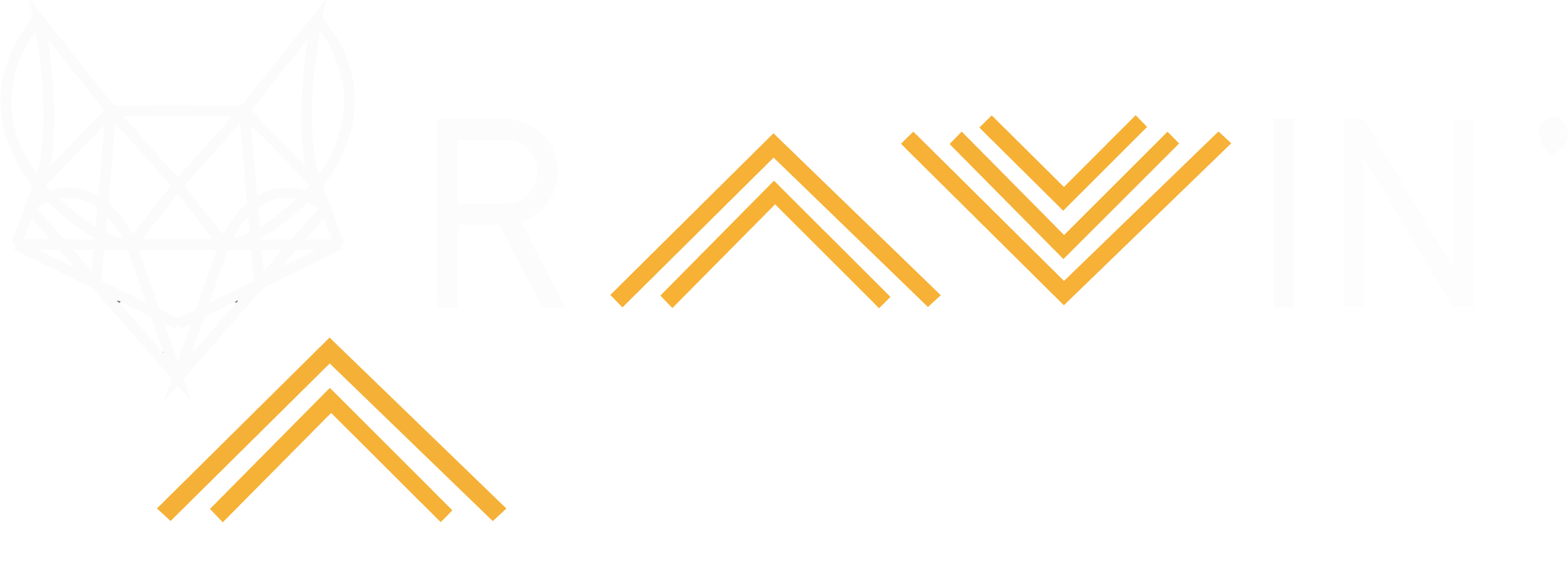Ravin Group Logo